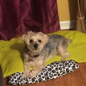 Meet your Posher, Luisa